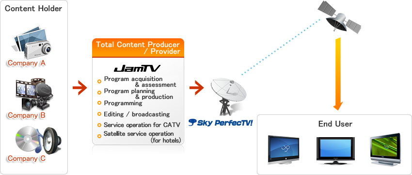 Flow of Satellite Broadcasting Services